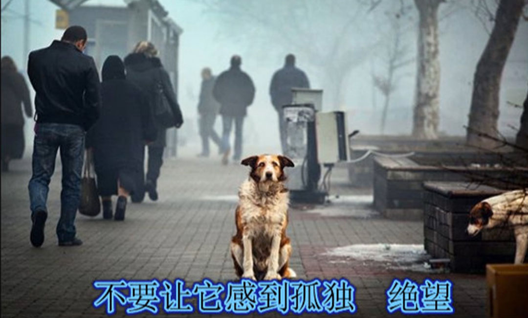 喀什喀什爱影圈微博微信转发案例